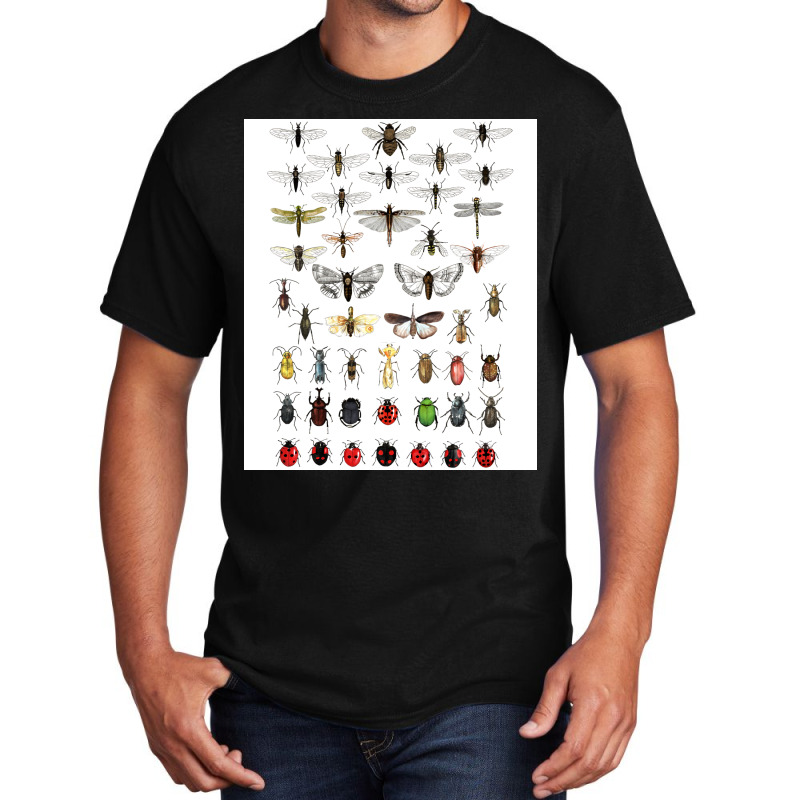 Entomology Illustrations Green Basic T-shirt | Artistshot