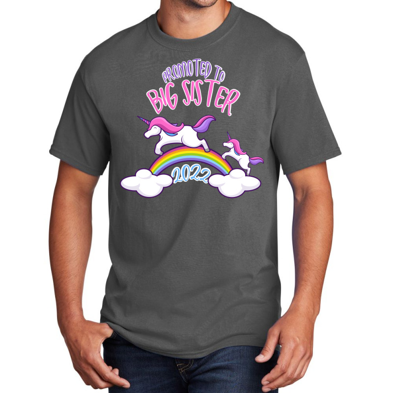 Promoted To Big Sister 2022 1 Basic T-shirt | Artistshot