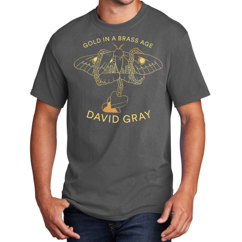 New David Gray In A Tour 2019 Basic T-shirt by deurinnipahy | Artistshot