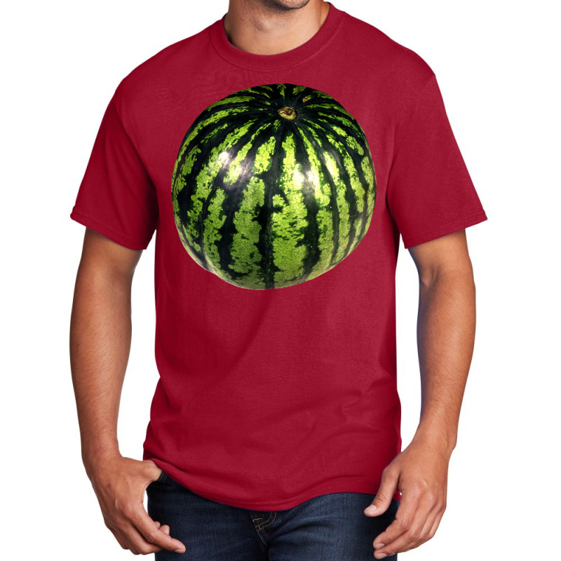 Watermelon Tumblr Basic T-shirt | Artistshot