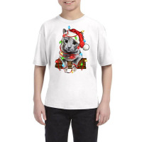 Christmas Russian Blue Cat Youth Tee | Artistshot