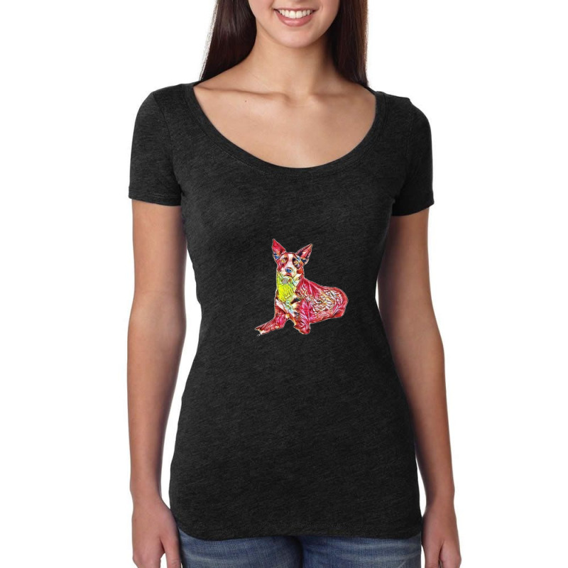 An Alert Border Collie Mix Br Women's Triblend Scoop T-shirt | Artistshot