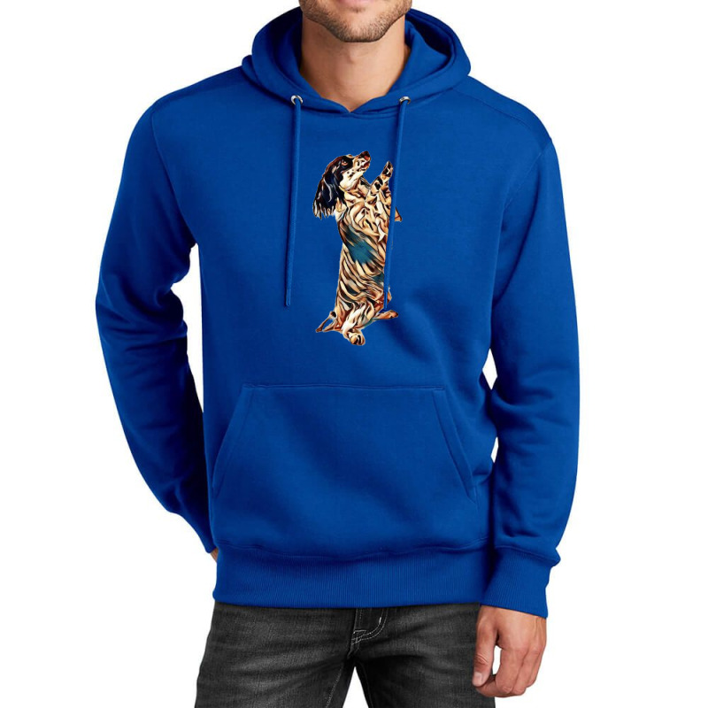 A Papillon Mix Breed Dog Begg Unisex Hoodie by Kemnabi | Artistshot