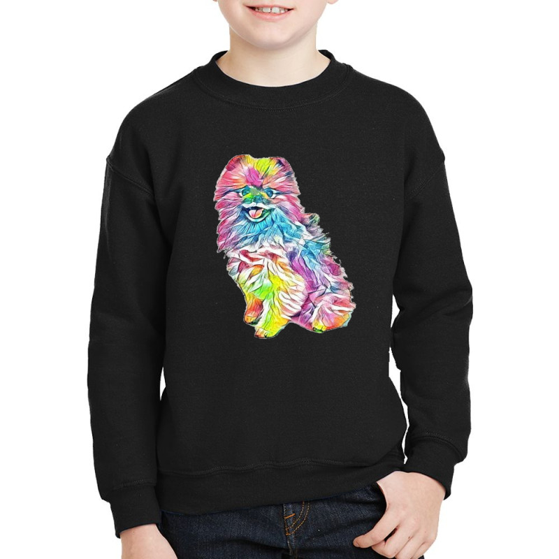 An Attentive Pomeranian Dog S Youth Sweatshirt by Kemnabi | Artistshot