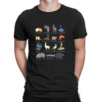 Animals Of The World Rare Exotic Animals Funny Memes Gift T-shirt | Artistshot