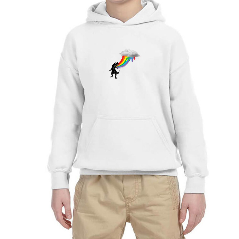 Rainbow Dinosaur Youth Hoodie | Artistshot