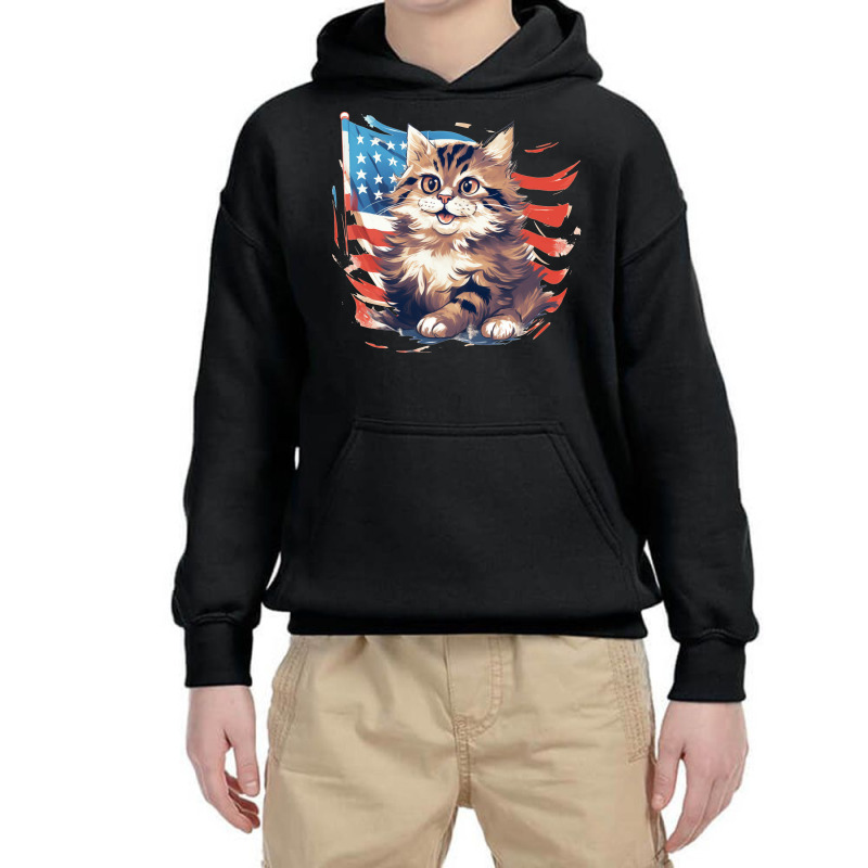 Cat3 Youth Hoodie | Artistshot