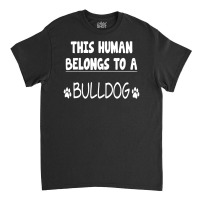 This Human Belongs To Bulldog Classic T-shirt | Artistshot