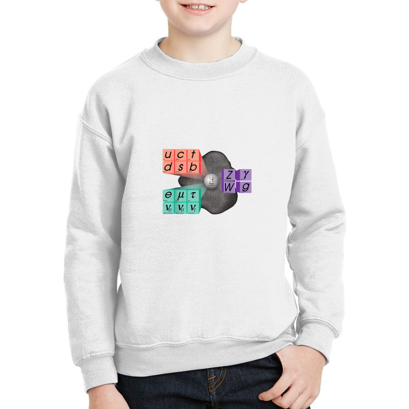 Particles Standard Model Higgs Boson Youth Sweatshirt by artevrie | Artistshot