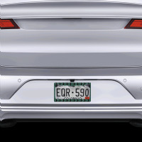 Fins Miami Florida American Football Dolphin Elements Animal License Plate Frame | Artistshot