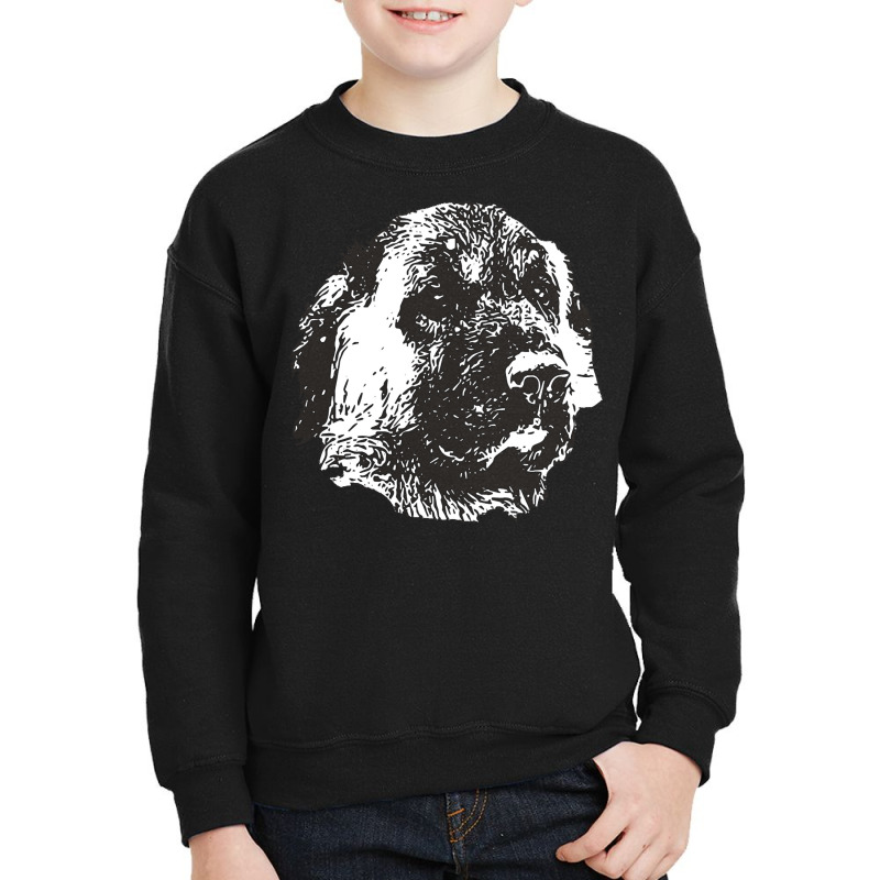 Anatolian Shepherd Dog T  Shirt Anatolian Shepherd Dog   Anatolian Chr Youth Sweatshirt by pitifulhere | Artistshot