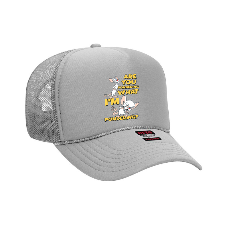 Pinky And The Brain Pondering Long Sleeve T Shirt Foam Trucker Hat | Artistshot