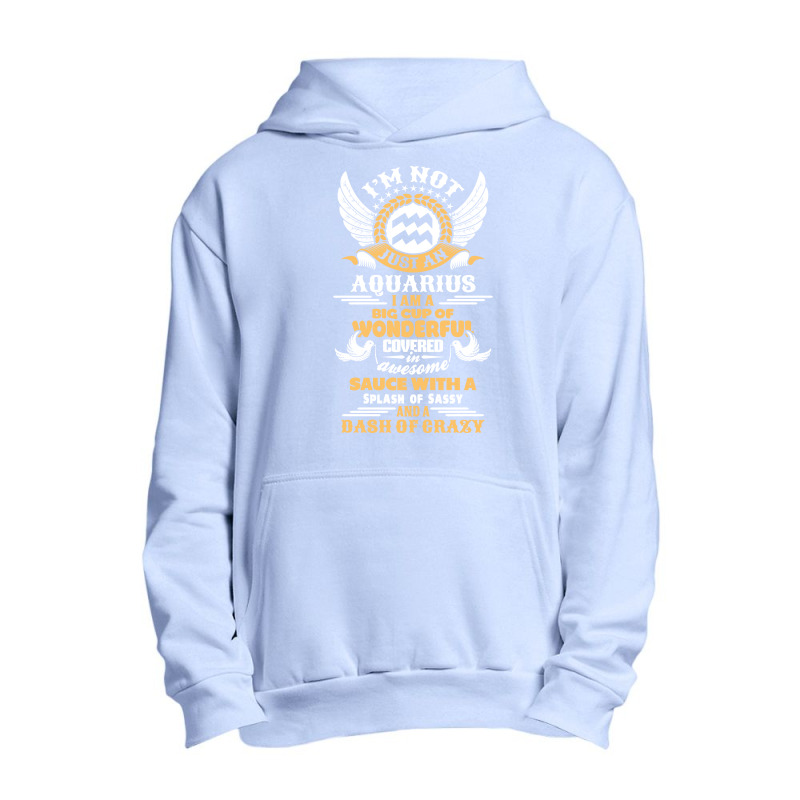 I Am Not Just An Aquarius... Urban Pullover Hoodie by tshiart | Artistshot