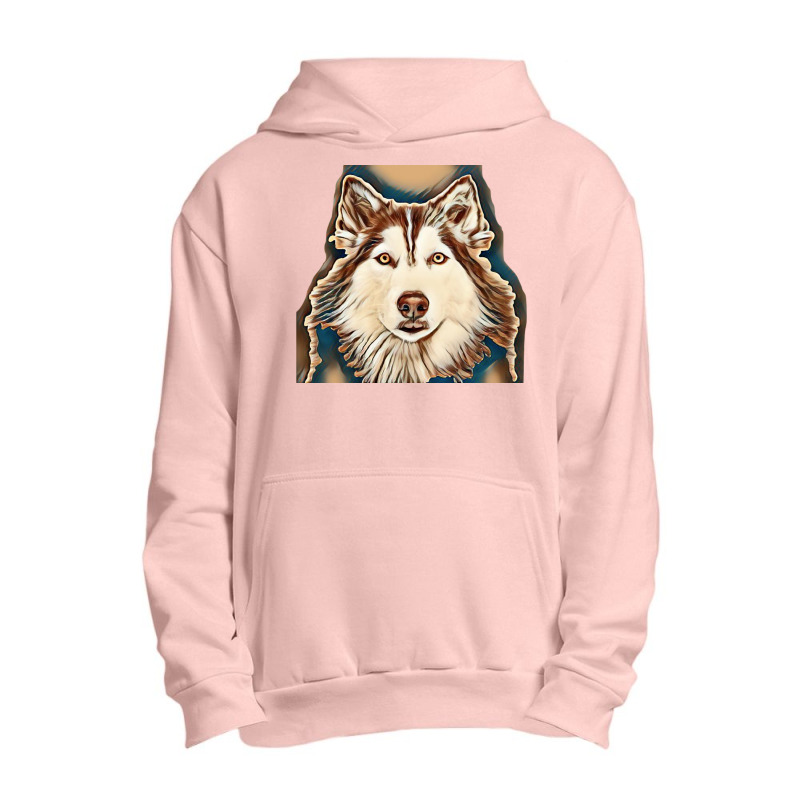 Siberian Husky Studio Shoot. Urban Pullover Hoodie by Kemnabi | Artistshot