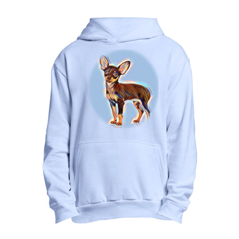 The Dog And Cat Lie Together.ed On White Background Urban Pullover Hoodie by Kemnabi | Artistshot