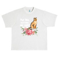 Cat Maine Coon Gift Kidding Kitten Meow Pussycat Urban Heavy T-shirt | Artistshot