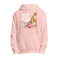 Cat Maine Coon Gift Kidding Kitten Meow Pussycat Urban Pullover Hoodie | Artistshot