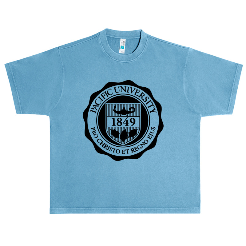 Pacificu Seal Urban Heavy T-shirt by DZshop49 | Artistshot