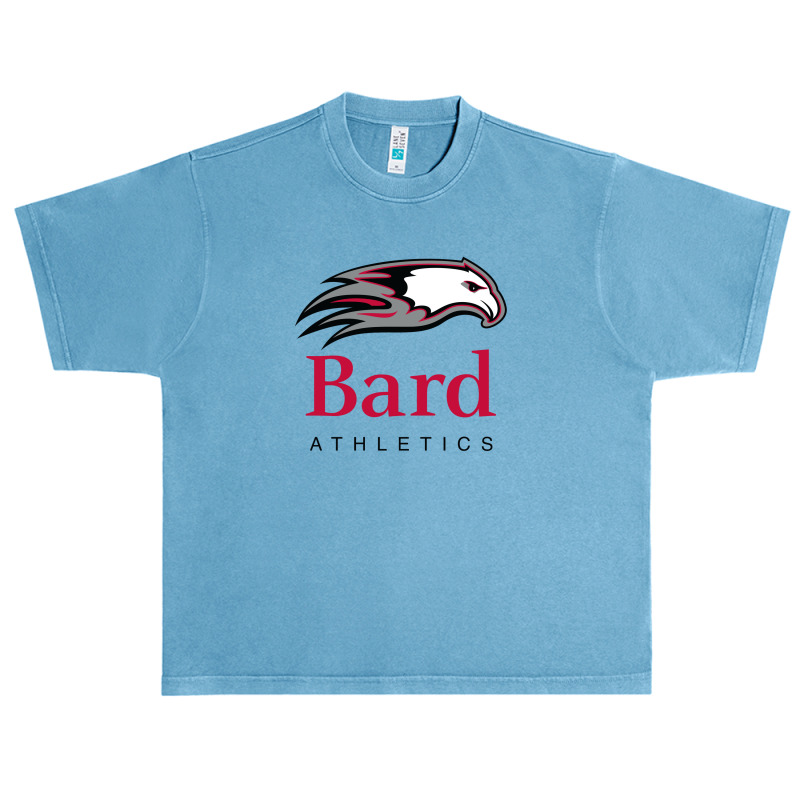 Bard College Urban Heavy T-shirt by cece cantik | Artistshot