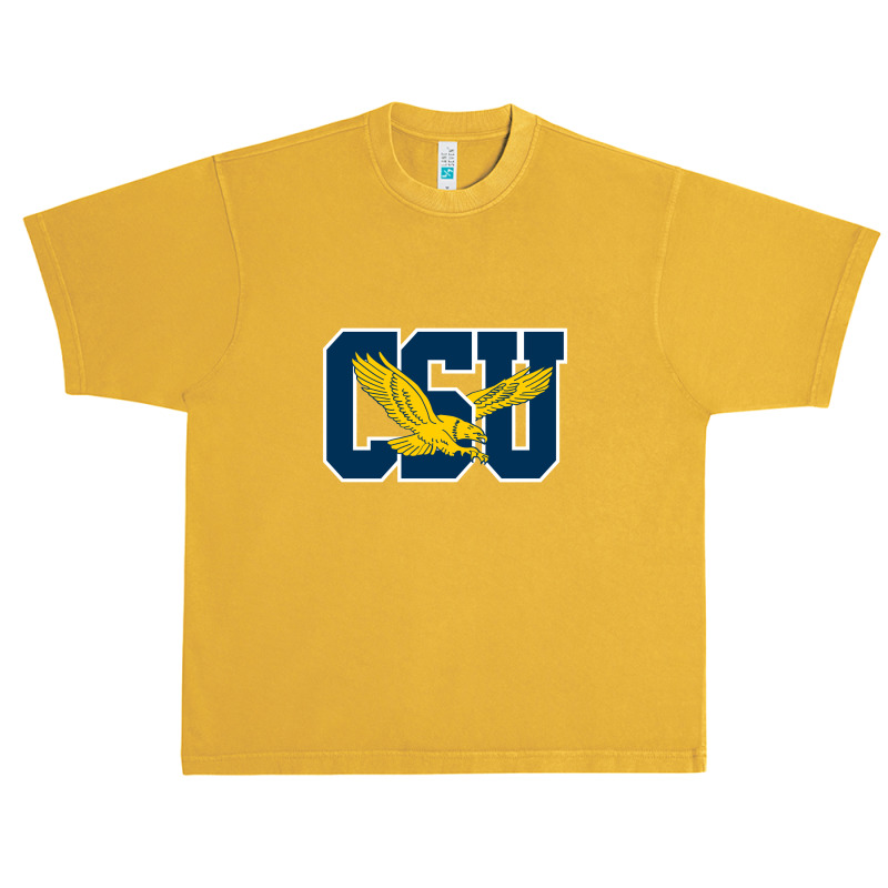 Coppin State Eagles L Urban Heavy T-shirt | Artistshot