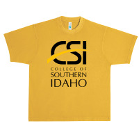 Academy Of Southern, Idaho Urban Heavy T-shirt | Artistshot