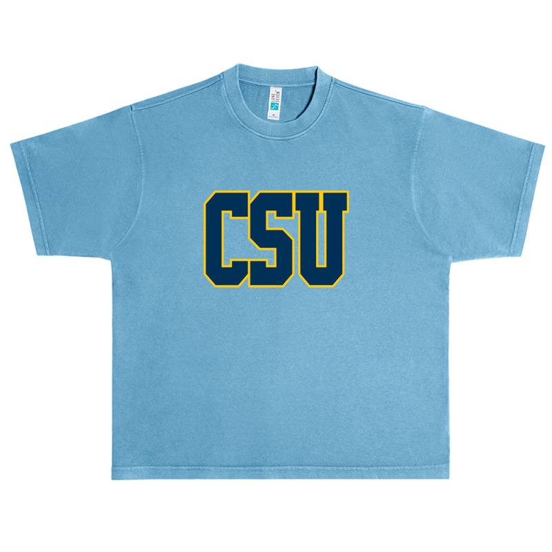 Coppin State Eagles Urban Heavy T-shirt | Artistshot