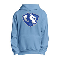 Eastern Illinois Panthers Urban Pullover Hoodie | Artistshot