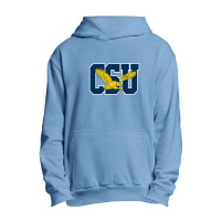 The Coppin State Eagles Urban Pullover Hoodie | Artistshot