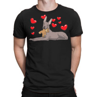 Xoloitzquintle T  Shirt Xoloitzcuintle Dog With Stuffed Animal And Hea T-shirt | Artistshot