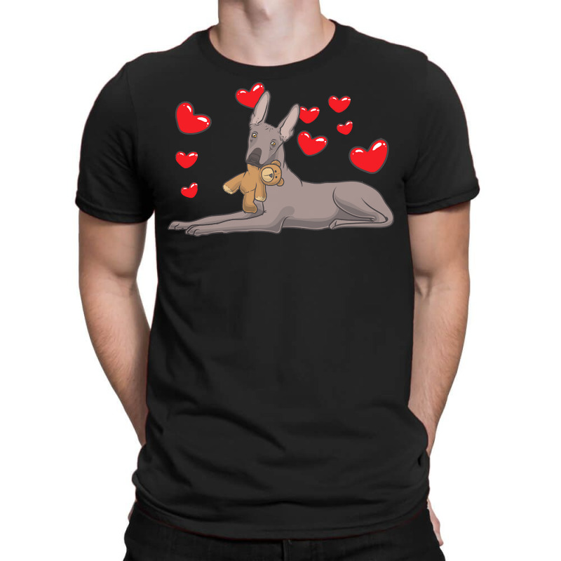 Xoloitzquintle T  Shirt Xoloitzcuintle Dog With Stuffed Animal And Hea T-Shirt by victorycanola | Artistshot