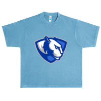 Eastern Illinois Panthers Urban Heavy T-shirt | Artistshot