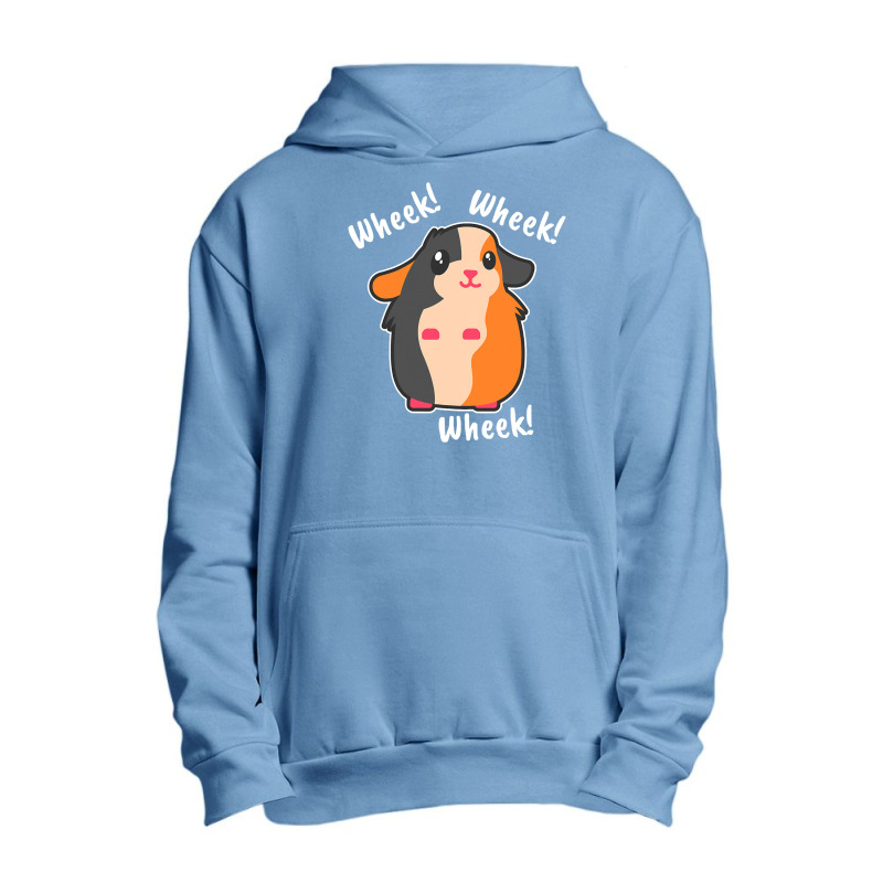 Guinea Pigs Funny Saying Rodent Pet Urban Pullover Hoodie | Artistshot