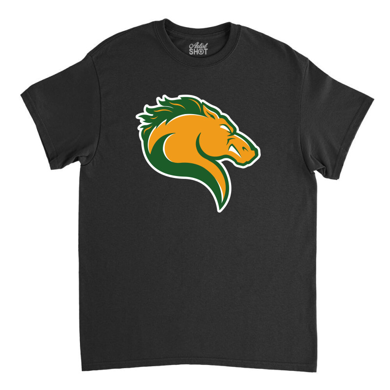 Marywood Merch, Pacers Classic T-shirt | Artistshot