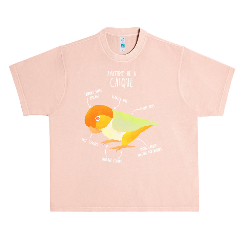 Caique T  Shirt Anatomy Of A White  Bellied Caique T  Shirt Urban Heavy T-shirt | Artistshot