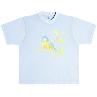 Birds Illustration T  Shirtbird T  Shirt (5) Urban Heavy T-shirt | Artistshot