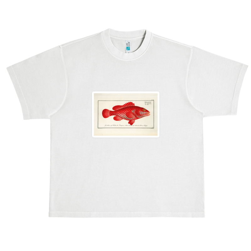 Antique Crustacean Print Homarus Americanus The American Lobster 57476 Urban Heavy T-shirt | Artistshot