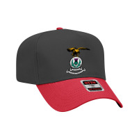 Inverness Caledonian Thistle Adjustable Baseball Cap | Artistshot