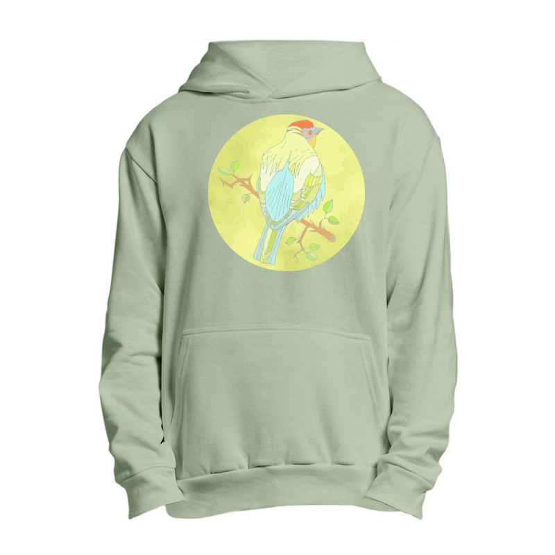 Birds Illustration T  Shirtbird T  Shirt (33) Urban Pullover Hoodie | Artistshot