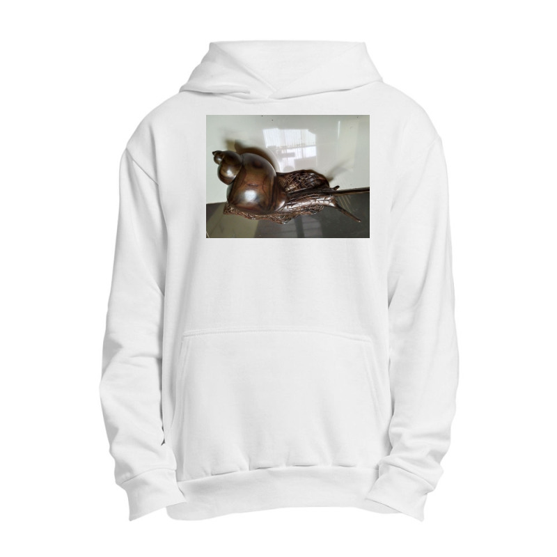 Snail Art Urban Pullover Hoodie by argo | Artistshot