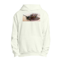 Snail Art Urban Pullover Hoodie | Artistshot