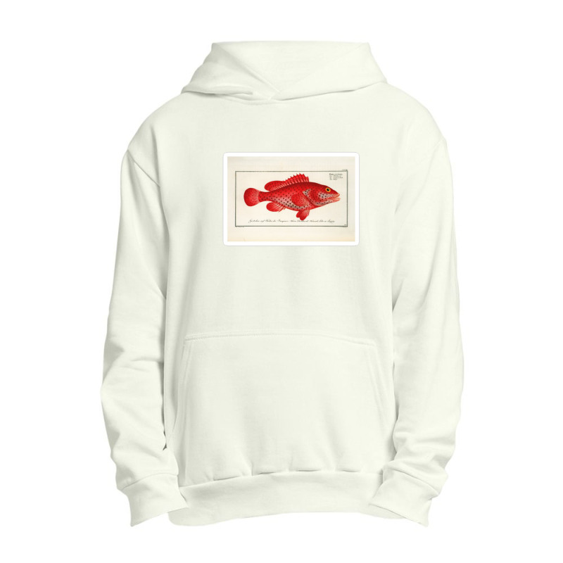 Antique Crustacean Print Homarus Americanus The American Lobster 57476 Urban Pullover Hoodie | Artistshot