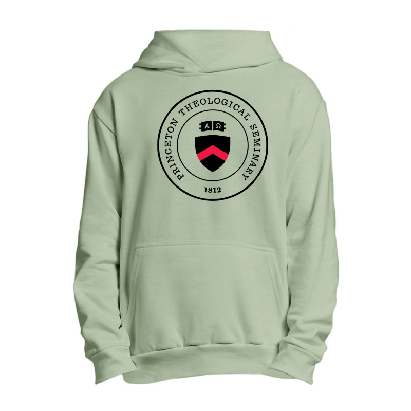 The School Urban Pullover Hoodie by kolatian | Artistshot