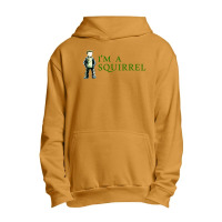 Squirrel Urban Pullover Hoodie | Artistshot