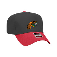 Florida A&m Rattlers Adjustable Baseball Cap | Artistshot