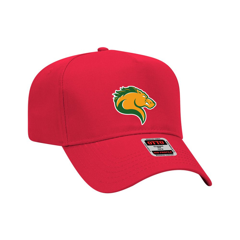 Marywood Merch, Pacers Adjustable Baseball Cap | Artistshot