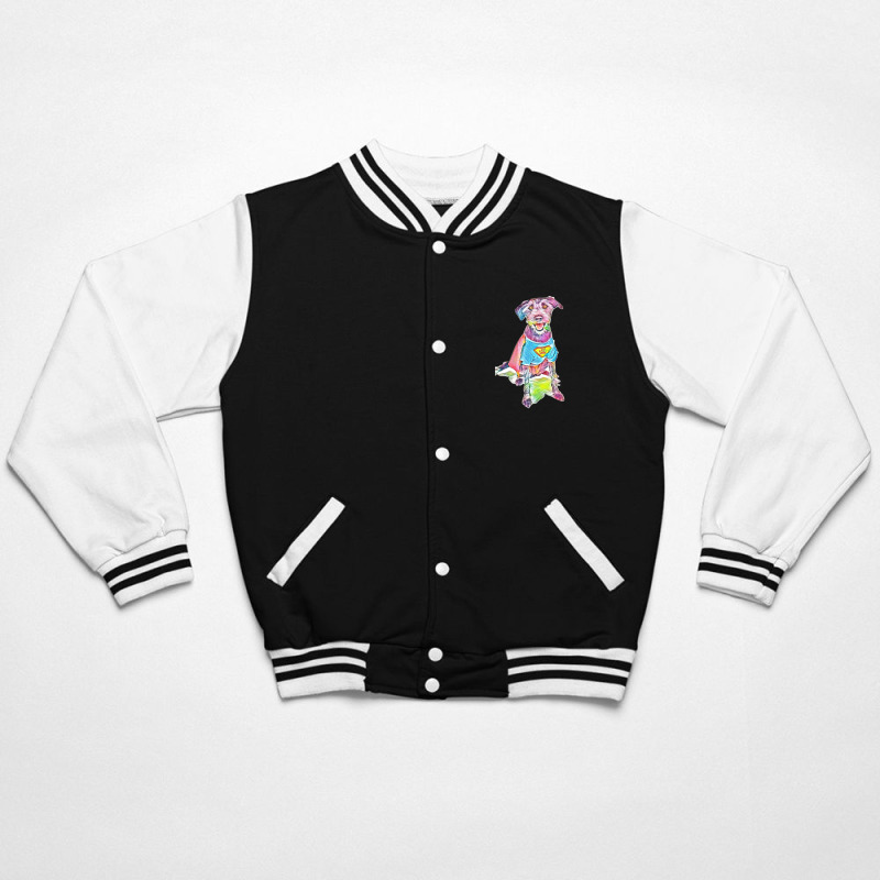 Setter Vestito Da Supereroe Bomber Jacket by Kemnabi | Artistshot