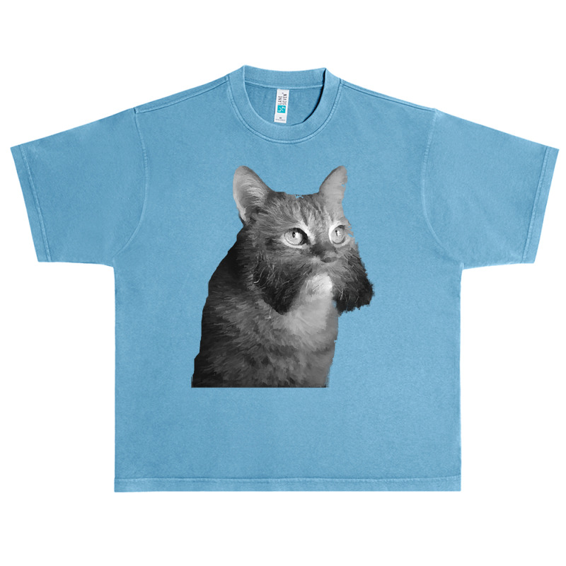 Cat With Sideburns T Shirtcat With Sideburns T Shirt (1) Urban Heavy T-shirt by martyprosacco868 | Artistshot