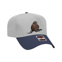 Sea Lion Illustrations Adjustable Baseball Cap | Artistshot