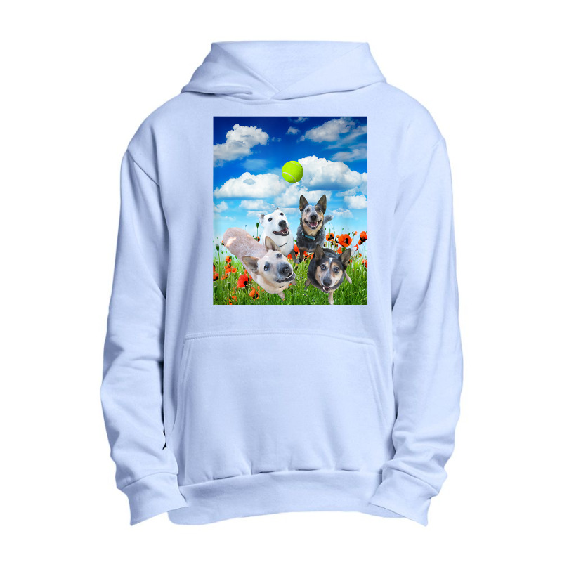 Blue Red White Heeler Cattle Dogs Playing Ball T Shirt Urban Pullover Hoodie | Artistshot