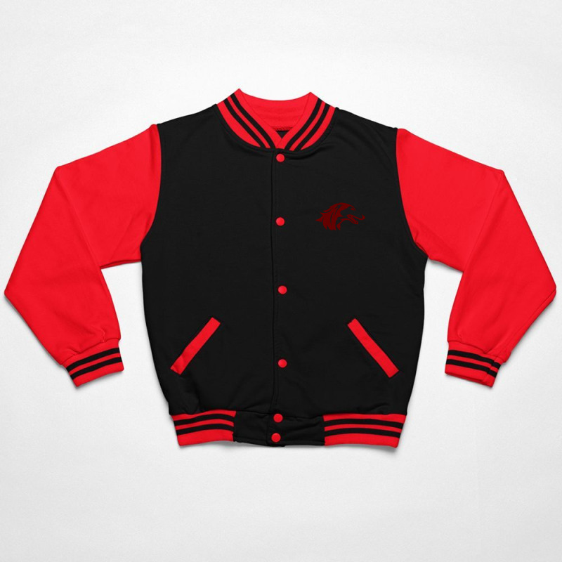 Southern Illinois Salukis Bomber Jacket | Artistshot